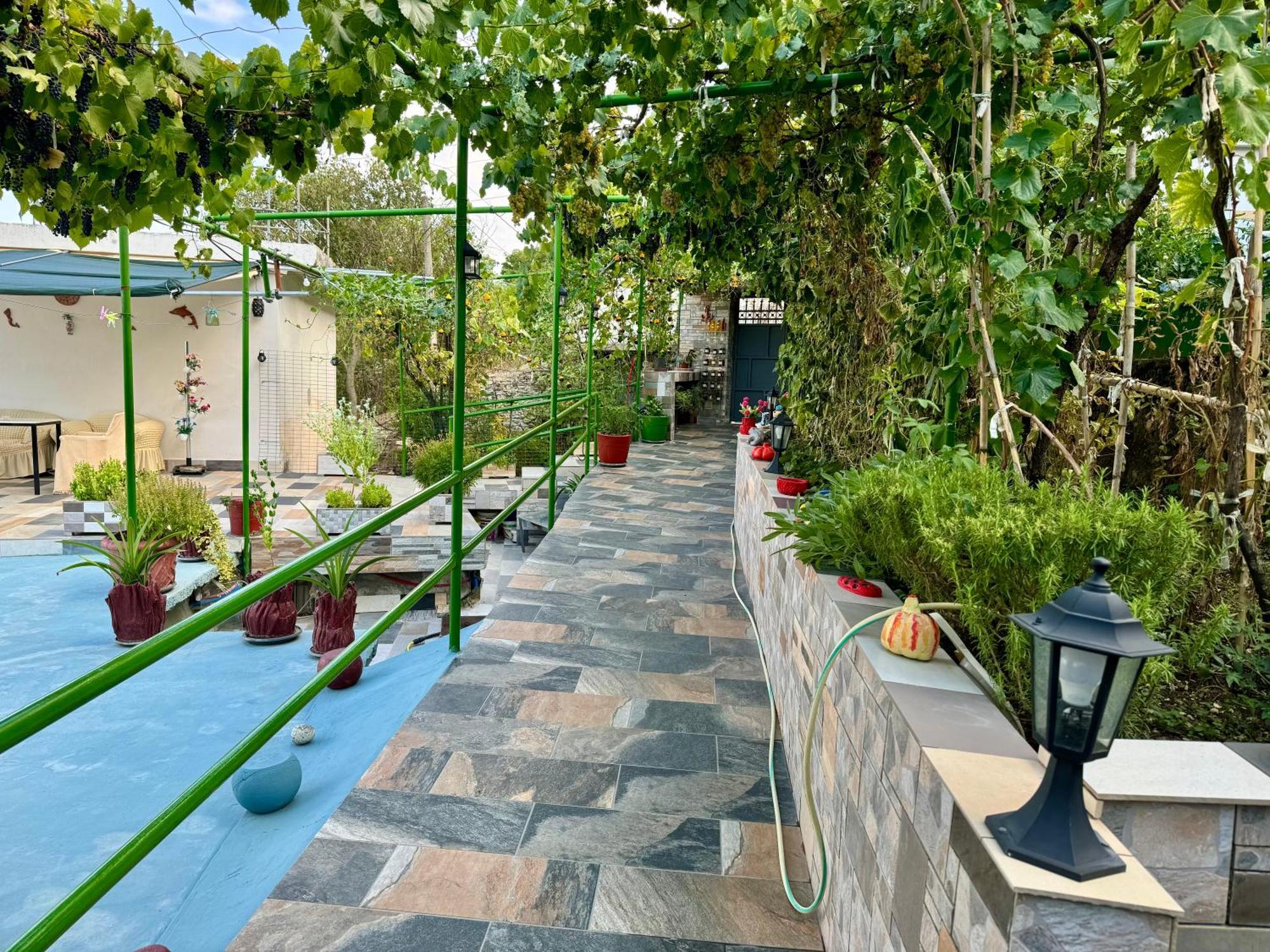 Panoramic View Guest House Gjirokaster Bagian luar foto
