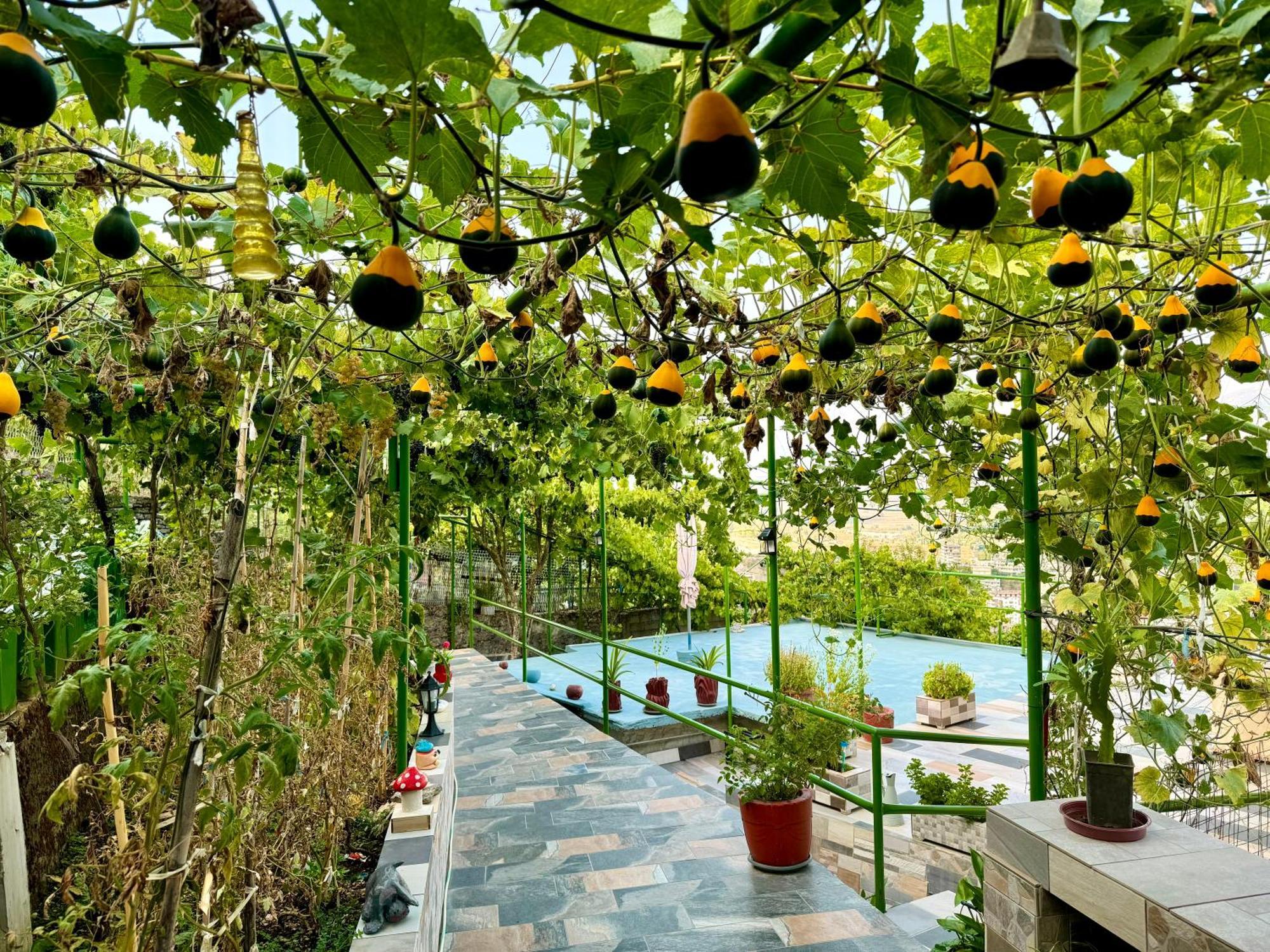 Panoramic View Guest House Gjirokaster Bagian luar foto